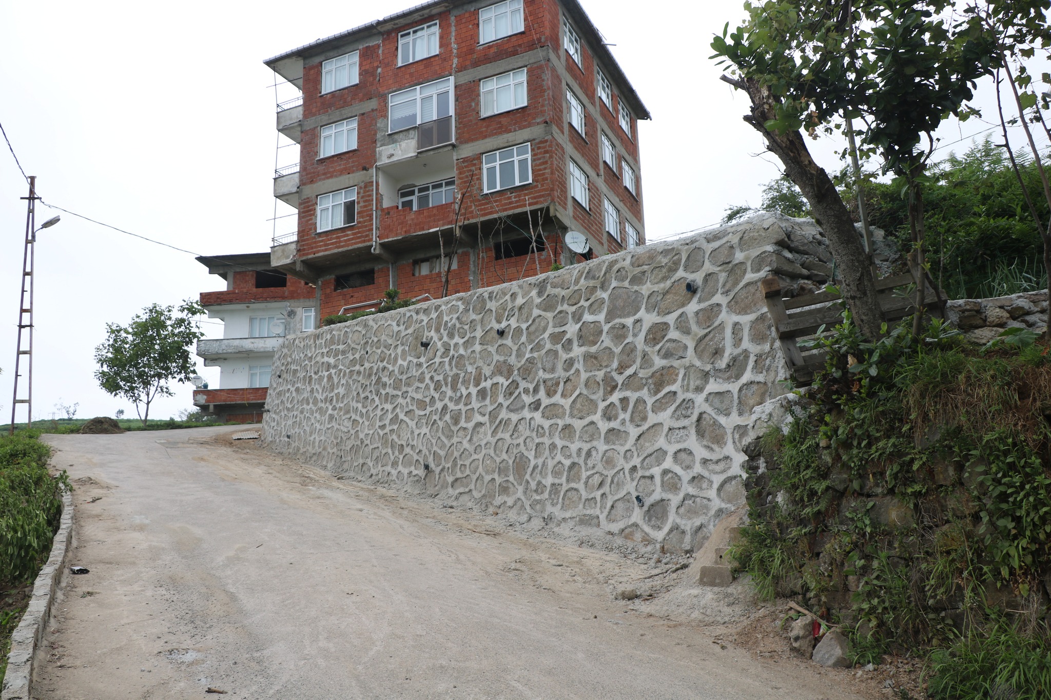 500603861_1125569592935409_254724710418602614_n